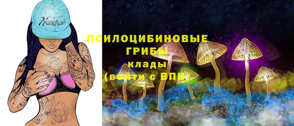 гидропоника Балахна
